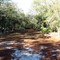 Trail/road in the preserve