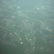 Tampa from the air