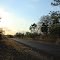Flatwoods Trail South Loop