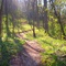 Bike Trail