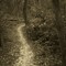 The Grandview Loop Mountain Bike Trail