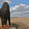 Wired Bull