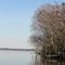 Walter's Landing