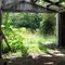 Encroaching Nature