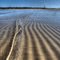Shallow Wave