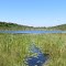 Cunningham Lake in summer