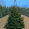Cedar United Methodist Church, Ham Lake, Minnesota