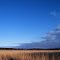 After the Rain (Swan Lake), Oak Grove, Minnesota