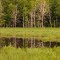 Reflection, Oak Hollow Park, Andover, Minnesota
