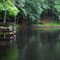 Bass Pond