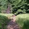 Dry creek bed