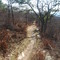High Point state park trail