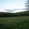 Field