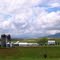 Farm north of Rocky Mount, VA