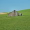 Old Barn in the Palouse