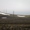 Transmission Line Across the Palouse, on a dark day in late winter.  Southeastern Wahsington state