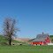 A Palouse Red Barn