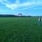 Twin Cities Skydive