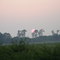 Jurassic Sunset