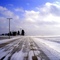 the cold 1