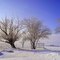 the cold 3