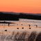 Delevan NWR Photo Blind #4