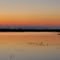Dawn at Sacramento National Wildlife Refuge