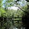 Peters Creek View 14