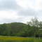 Delaney Park