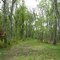 Knobstone Trail-Delaney Park loop