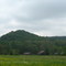 Indiana farm