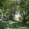 Lazy Summer days in Kansas