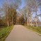 Dearborn Trail in the Spring looking east.