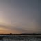Carlos Avery State Wildlife Management Area, Linwood, Minnesota