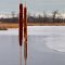 Cattails and Ice, Lamprey Pass Wildlife Management Area, Columbus, Minnesota
