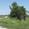 Grand Pass Conservation Area near Miami, MO