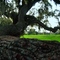 Kanapaha park