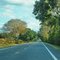 2010 Newberry-Archer, FL, USA - along SR 27