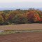 From Tibbets rd  Clinton NY
