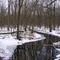 Creek at Oak Openings