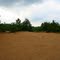 Dune At Oak Openings