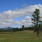 Lone Pine.....