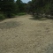 Cibolo creek 2006 drought