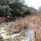 Frederick Creek