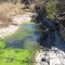 Cibolo Creek