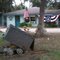 Boerne Rock Shop Ore Cart20
