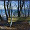 Bench By The Lake