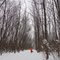 Winter Walk: Katherine K. Carpenter Dog Park