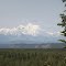 Denali on a clear day
