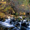 Slate Creek in Autumn